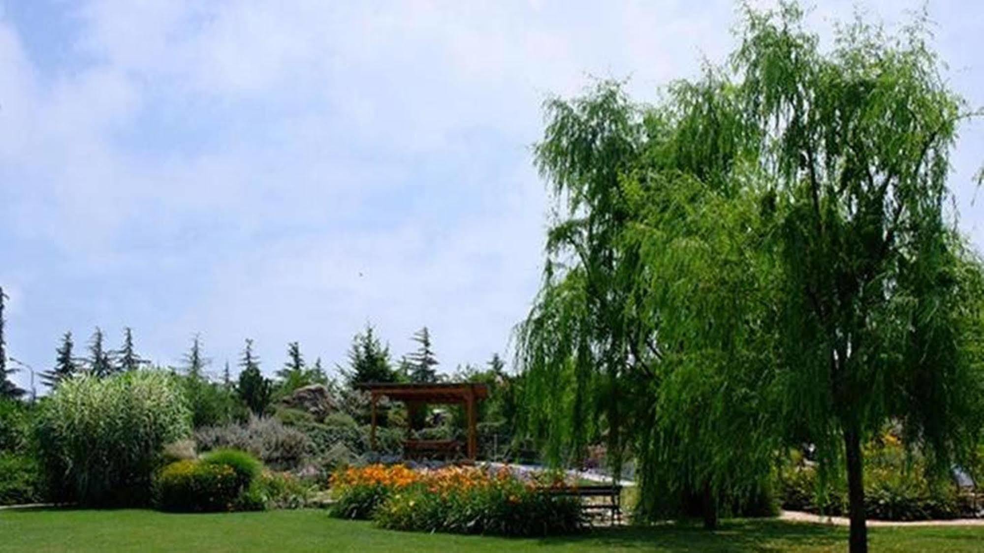 Hotel Parigi Castel San Pietro Terme Ngoại thất bức ảnh